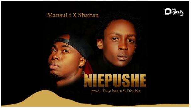 MansuLi Ft. Shairan – Niepushe