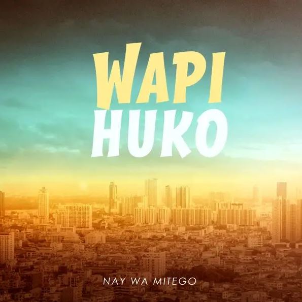 AUDIO | Nay Wa Mitego – Wapi Huko | Download