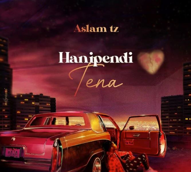 AUDIO | Aslam Tz – Hanipendi Tena | Download Mp3