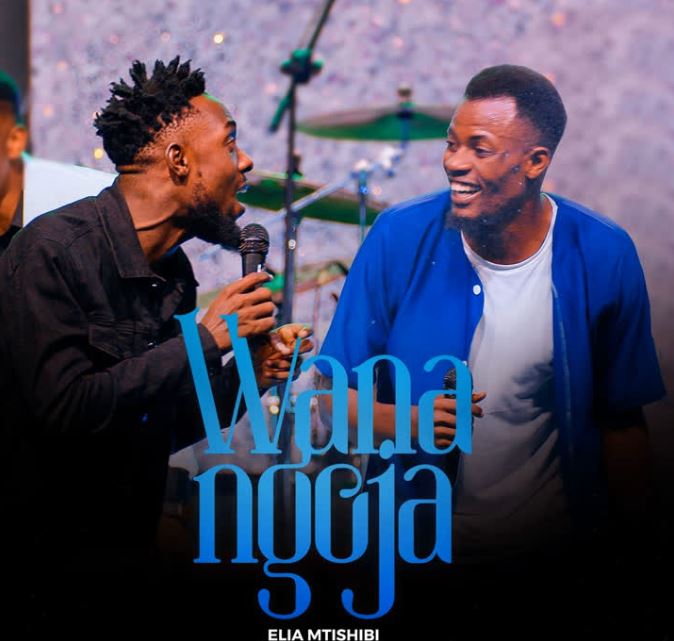 Download AUDIO | Elia Mtishibi Ft. Zoravo – Wanangoja