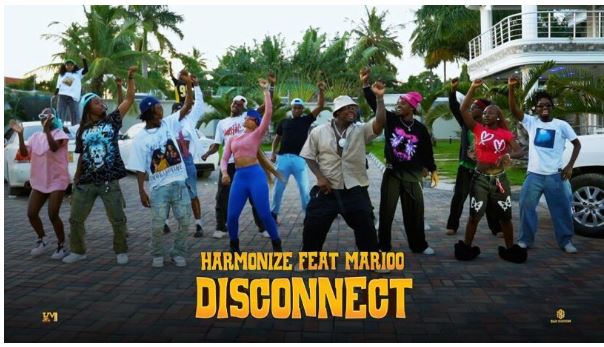 Download Video | Harmonize Ft Marioo – Disconnect