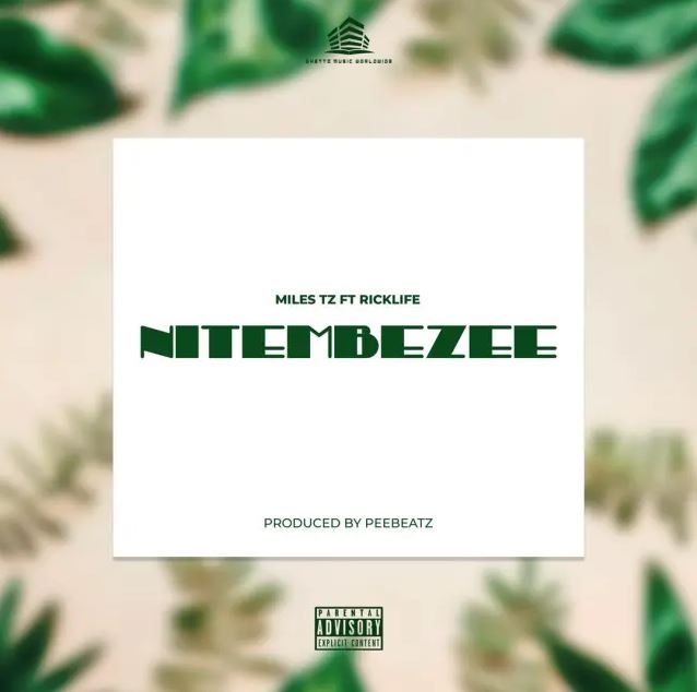 Miles Tz ft Rick Life – Naitembezee