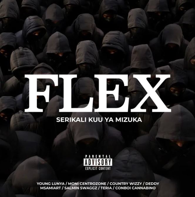 Download Audio | Serikali Kuu Ya Mizuka – Flex