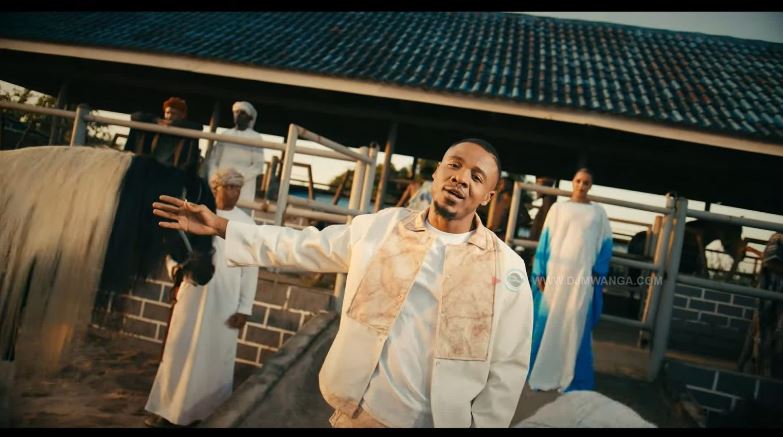 VIDEO-Mocco Genius Ft. Alikiba – Mchuchu