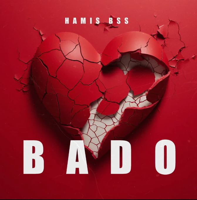 AUDIO | Hamis Bss – Bado | Download Mp3