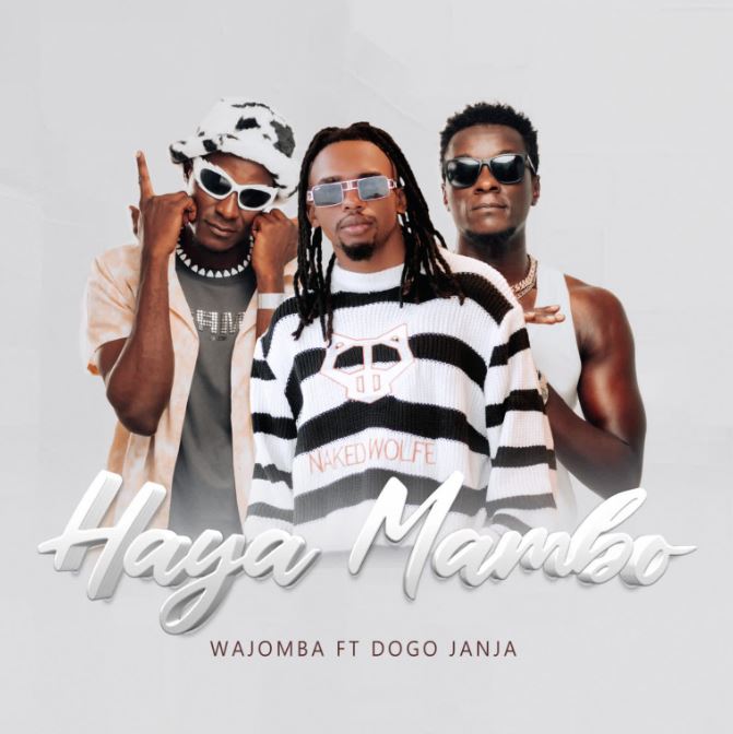 AUDIO | Wajomba Ft Dogo Janja – Haya Mambo | Download Mp3