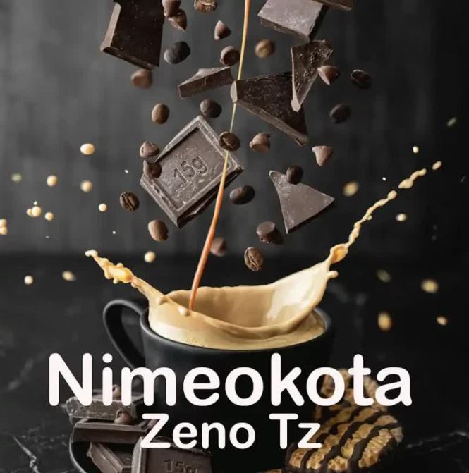 AUDIO | Zeno Tz – Nimeokota | Download Mp3